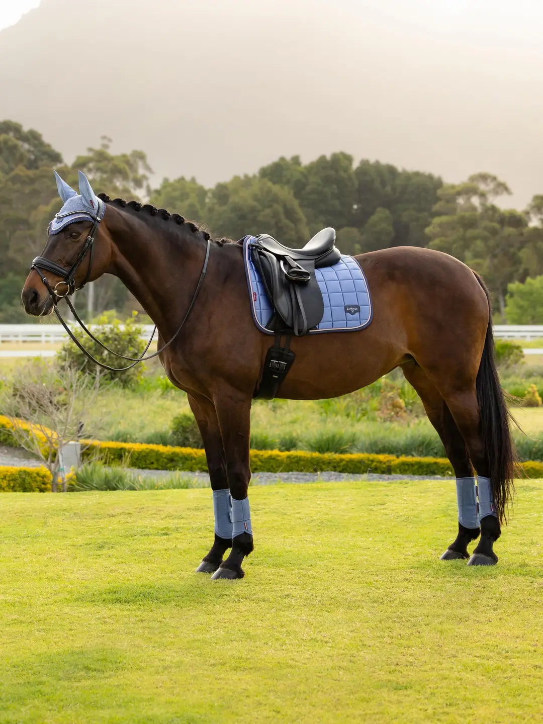 LeMieux Loire Dressuur Zadeldek Powder Blue | Livin Horse Shop