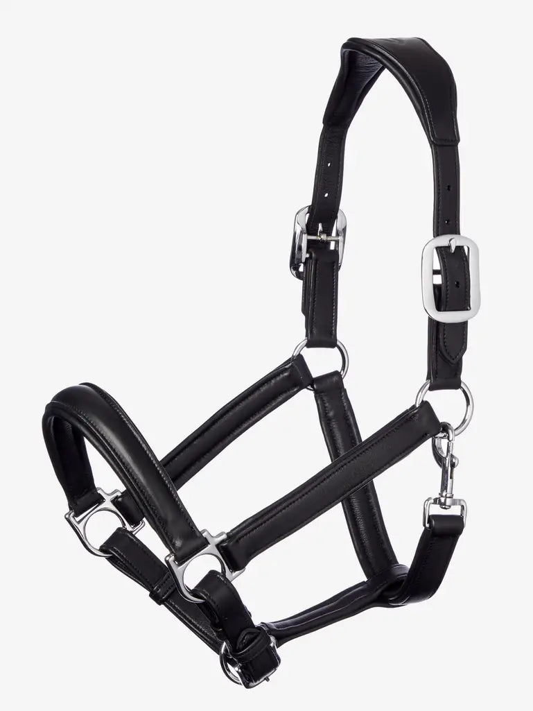 LeMieux Anatomic Headcollar Black _livin Horse Shop. Luxe zwart lederen halster van LeMieux met anatomisch kopstuk en zachte padding. Stijlvol, comfortabel en duurzaam. Voor dagelijks gebruik of wedstrijd. De leren halsters van LeMieux zijn verkrijgbaar bij Livin Horse Shop, dealer van LeMieux.