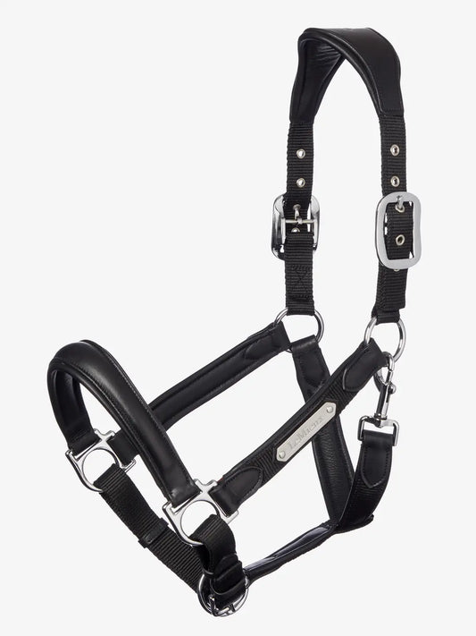 LeMieux Capella Halster Black. Dit LeMieux Lederen Capella Zwart is verkrijgbaar bij Livin Horse Shop. Frontaanzicht LeMieux Halster zwart