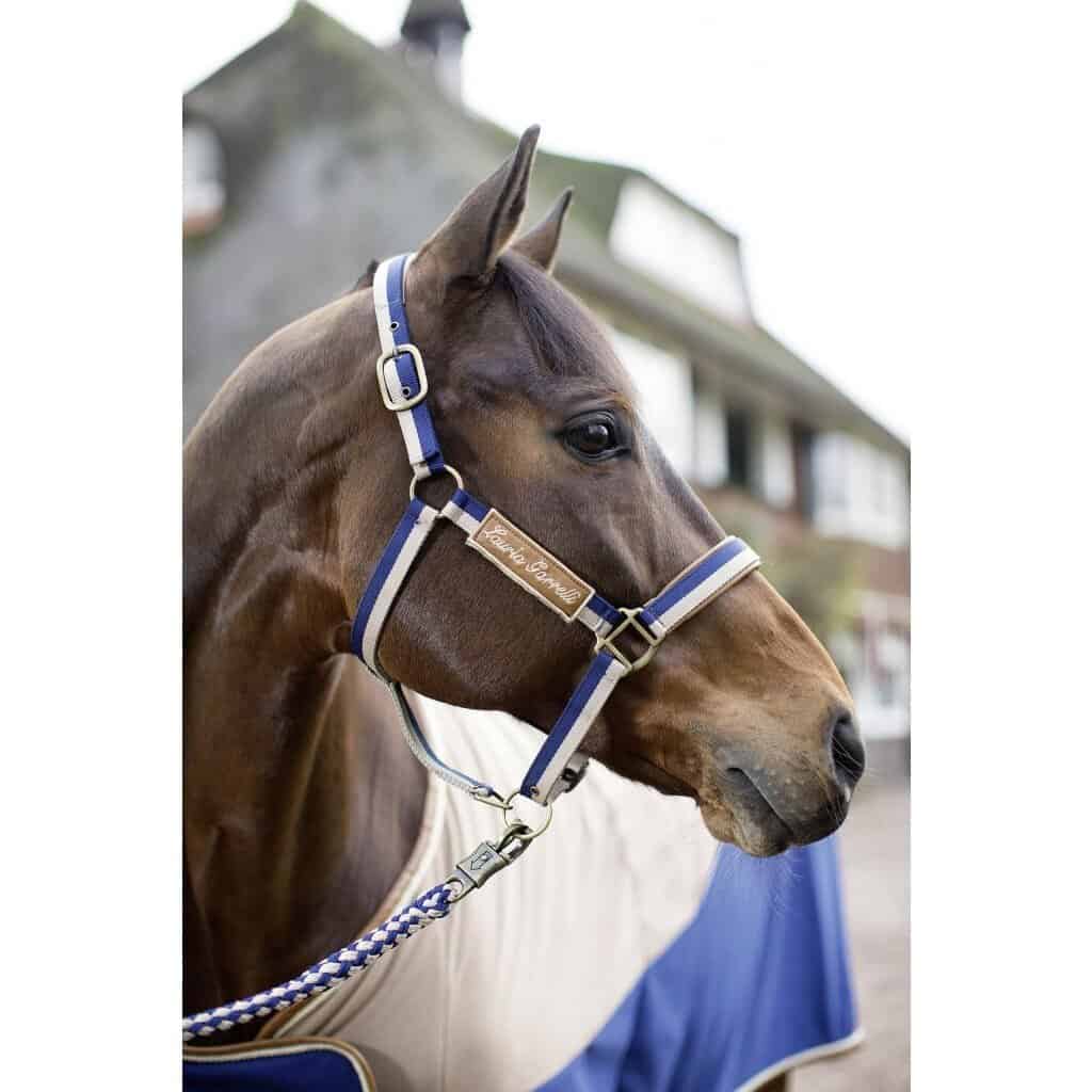 HKM Halster Roma Laura Garrelli – Verstelbaar & Zacht Onderlegd. Dit halster van HKM is verkrijgbaar bij Livin Horse Shop.
