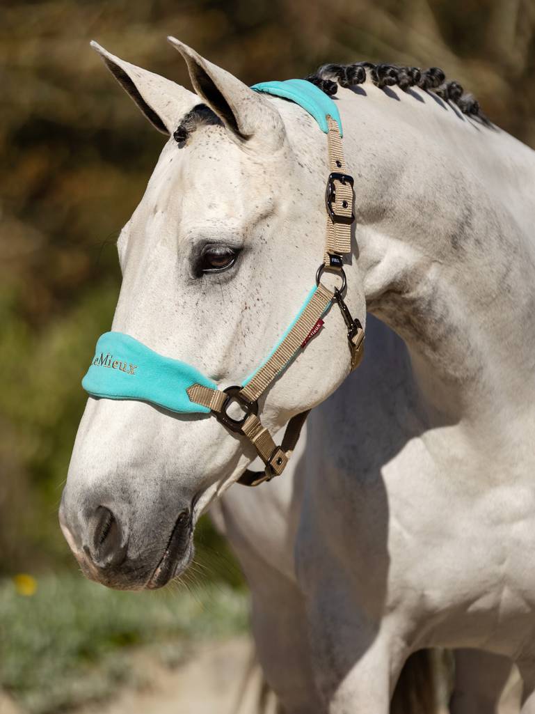 LeMieux Vogue Headcollar & Leadrope Azure - Livin Horse Shop. LeMieux Vogue Halsterset Azure – Superzacht & Verstelbaar. De LeMieux Halstersets zijn verkrijgbaar bij Livin Horse Shop!