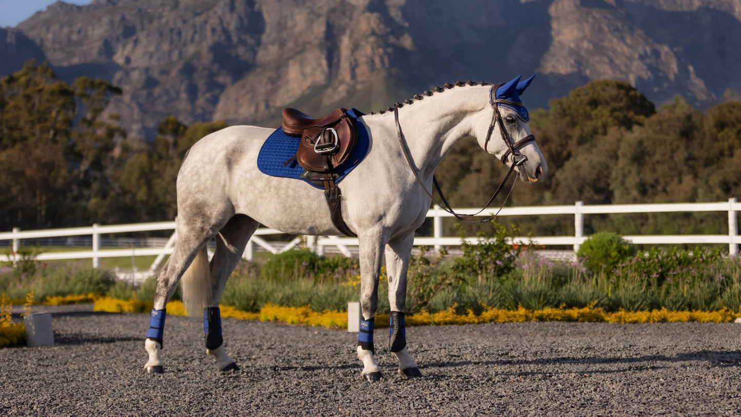 Lemieux Zadeldekje Suede Close Contact Square Benetton Blue. Dit LeMieux zadeldekje is verkrijgbaar bij Livin Horse Shop. Dealer van Lemieux. Zijaanzicht poaard en zadeldekje LeMieux Benetton Blue.
