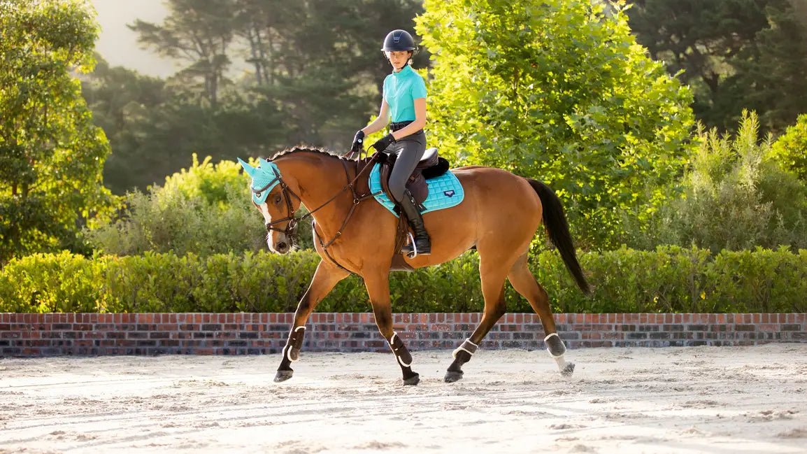 Lemieux Zadeldekje Loire Memory Close Contact Square Azure. Dit LeMieux Zadeldekje is verkrijgbaar bij livin Horse Shop. Zijaanzicht paard en zadeldekje azure
