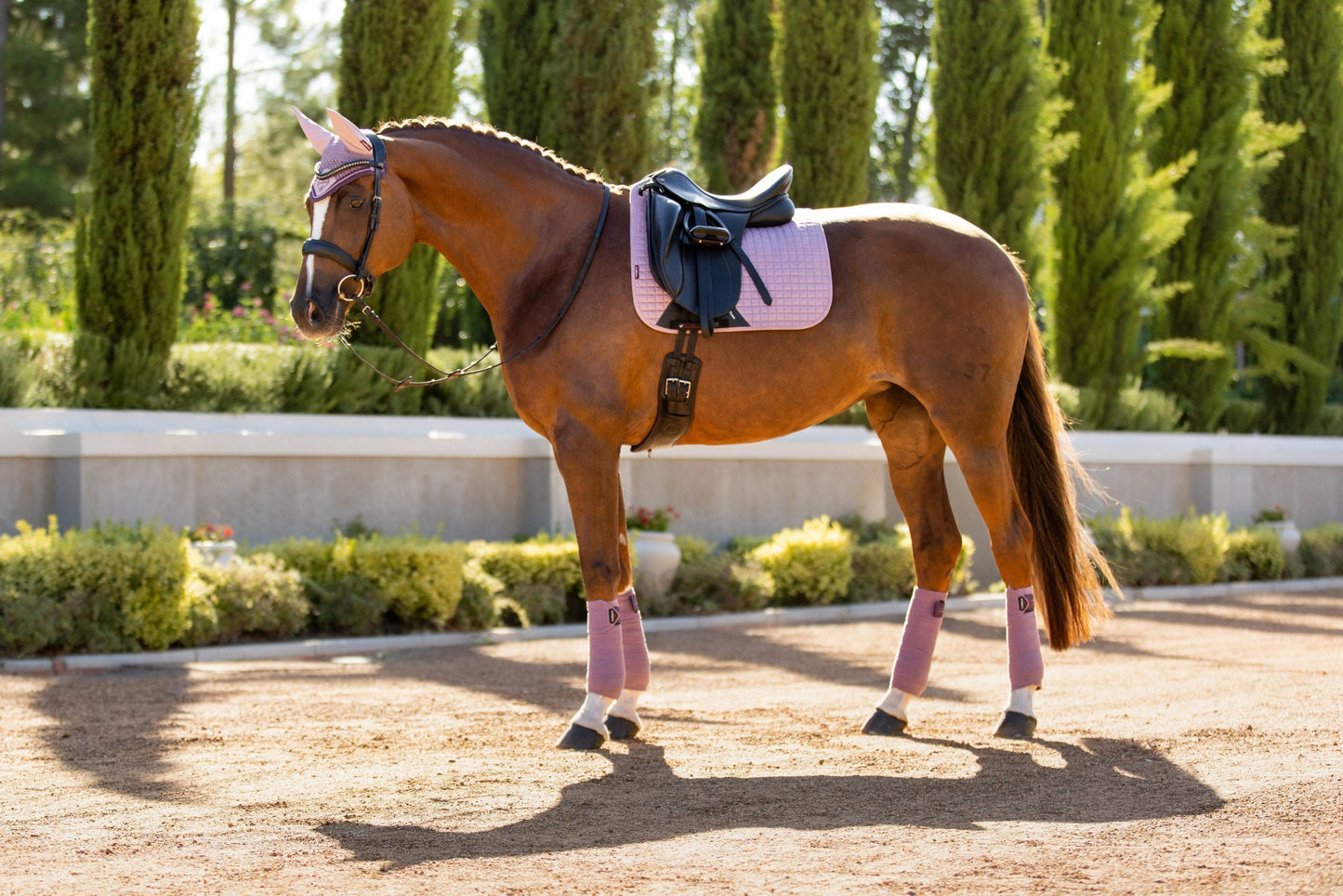 LeMieux Dressage Suede Square Musk