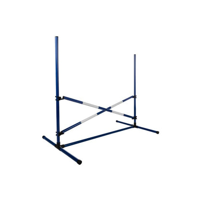 Ontdek de Hobby Horsing springset met 2 sprongen en 5 stokken. Lichtgewicht, veilig en inclusief transporttas. Perfect voor kinderen die van paardrijden houden!




