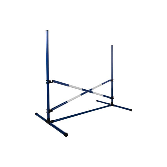 Ontdek de Hobby Horsing springset met 2 sprongen en 5 stokken. Lichtgewicht, veilig en inclusief transporttas. Perfect voor kinderen die van paardrijden houden!




