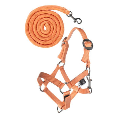 HKM Halsterset Hobby Horsing Orange