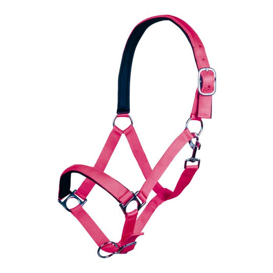 HKM Sports Halsterset Stars Softice - Neon roze