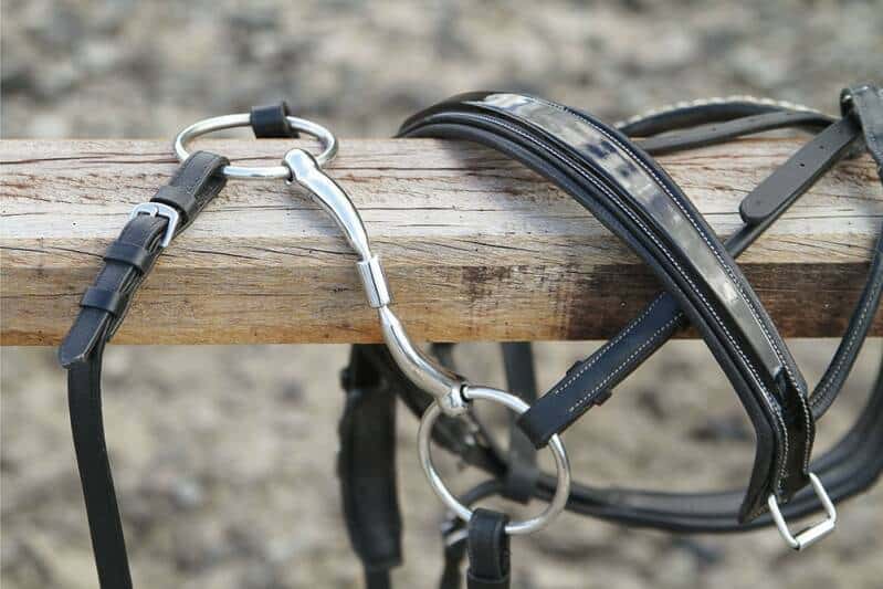 Harry's Horse Water Snaffle Anatomical Double Faults Roll-R 14mm — 11.5cm