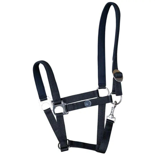 Harry's Horse Halster Padded