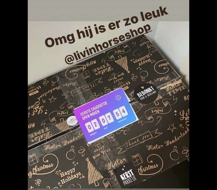 Paardenadventskalender L met dekje PRE-ORDER