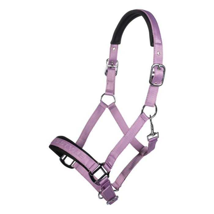 HKM Halster Harbour Island Lila. HKM Halster Haveneiland in stijlvol lila – comfortabel, verstelbaar en met zilverkleurig beslag. Nu verkrijgbaar in onze collectie! Livin Horse Shop