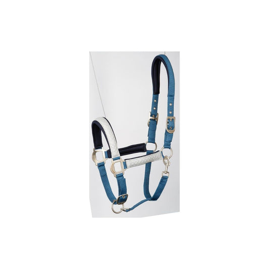 Harry’s Horse Luxe Halsterset met Metallic Band & Neopreen Voering – Incl. Touw. Deze Halsterset is verkrijgbaar bij Livin Horse Shop.