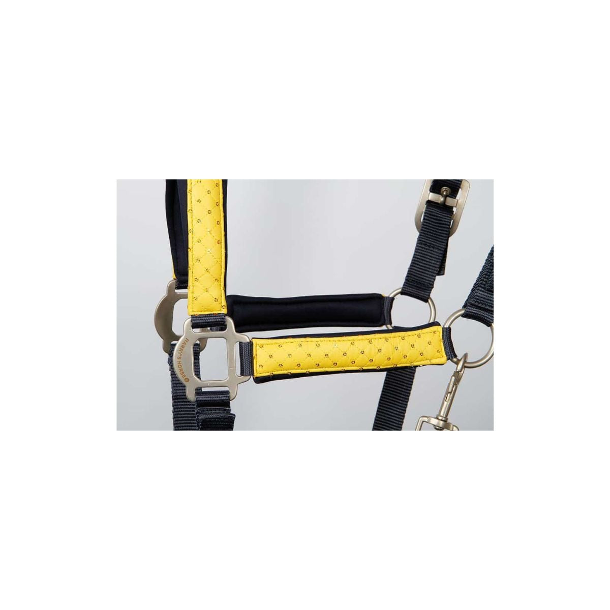 Harry's Horse Halter Set LouLou Edenburg *