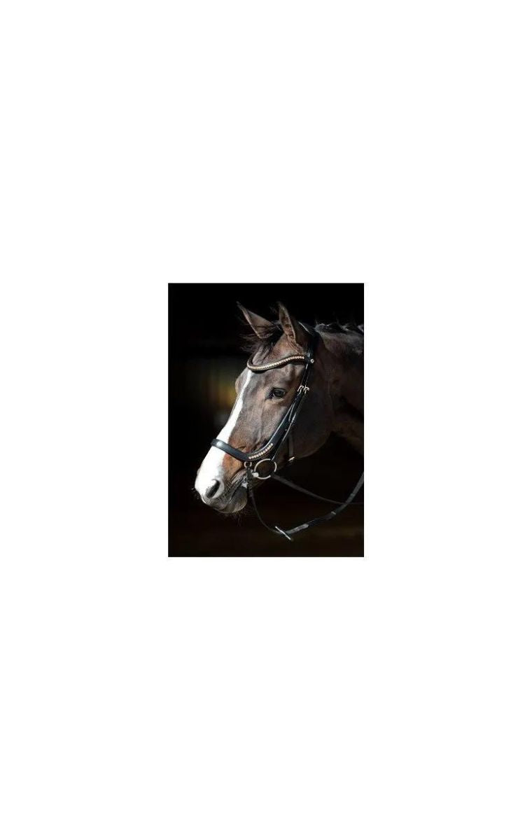 Harry's Horse Bridle Rosegold anatomic *