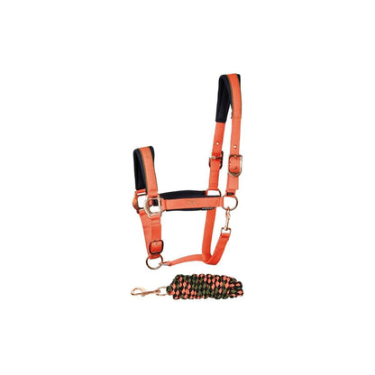 Luxe halsterset met metalic piping, printdetails en neopreen voering. Verstelbaar op 3 punten. Inclusief 2m touw. Duurzaam & stijlvol!