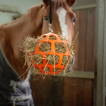 Hay Slowfeeder Fun and Flex is dé flexibele hooi-speelbal van natuurrubber. Voorkom verveling en stimuleer langzaam eten. Nu verkrijgbaar bij Livin Horse Shop.

