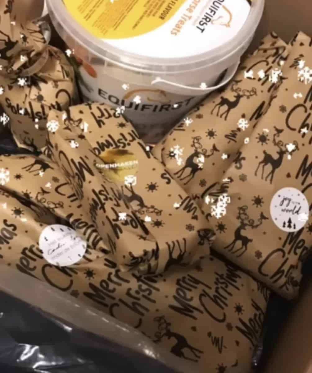 Horse Advent Calendar Rider Only PRE-ORDER