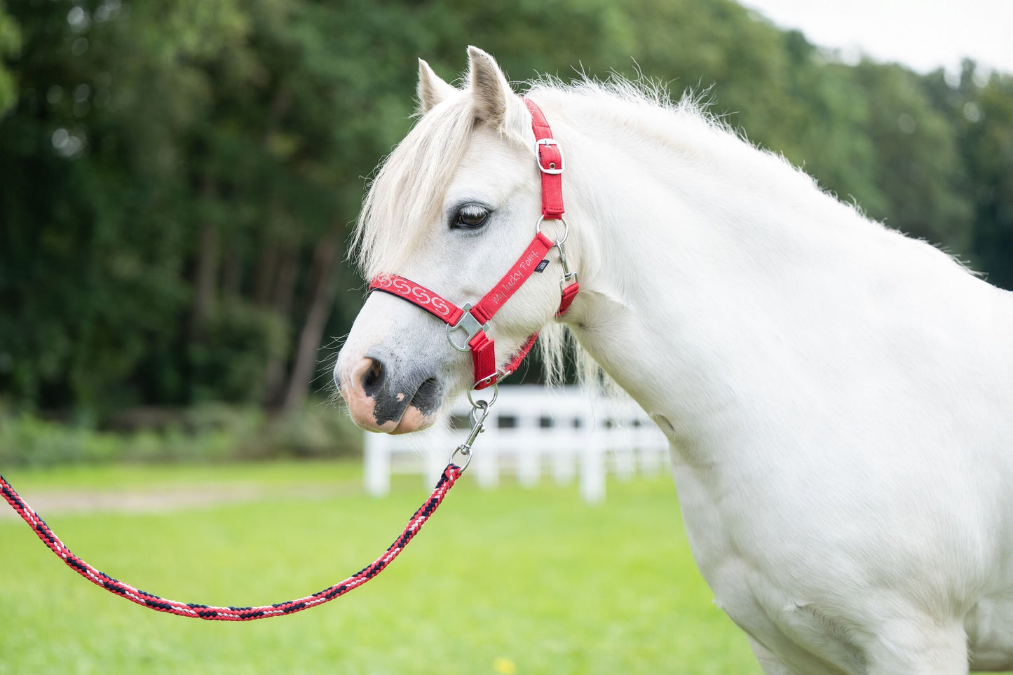 HKM Halster Aymee Rood