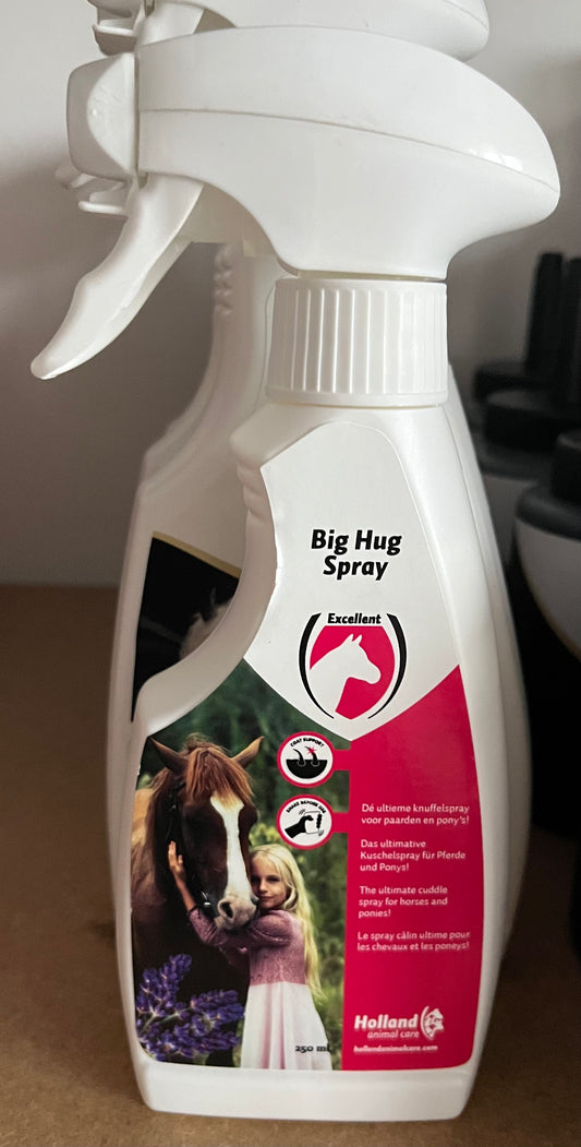 Hi Gloss Big Hug Spray