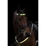 De LED-hoofdriem voor paard of pony biedt zichtbaarheid tot 300 meter en extra veiligheid tijdens avondritten. Oplaadbaar via USB en met 3 lichtstanden: 2 knipperlichten en 1 permanent licht.
