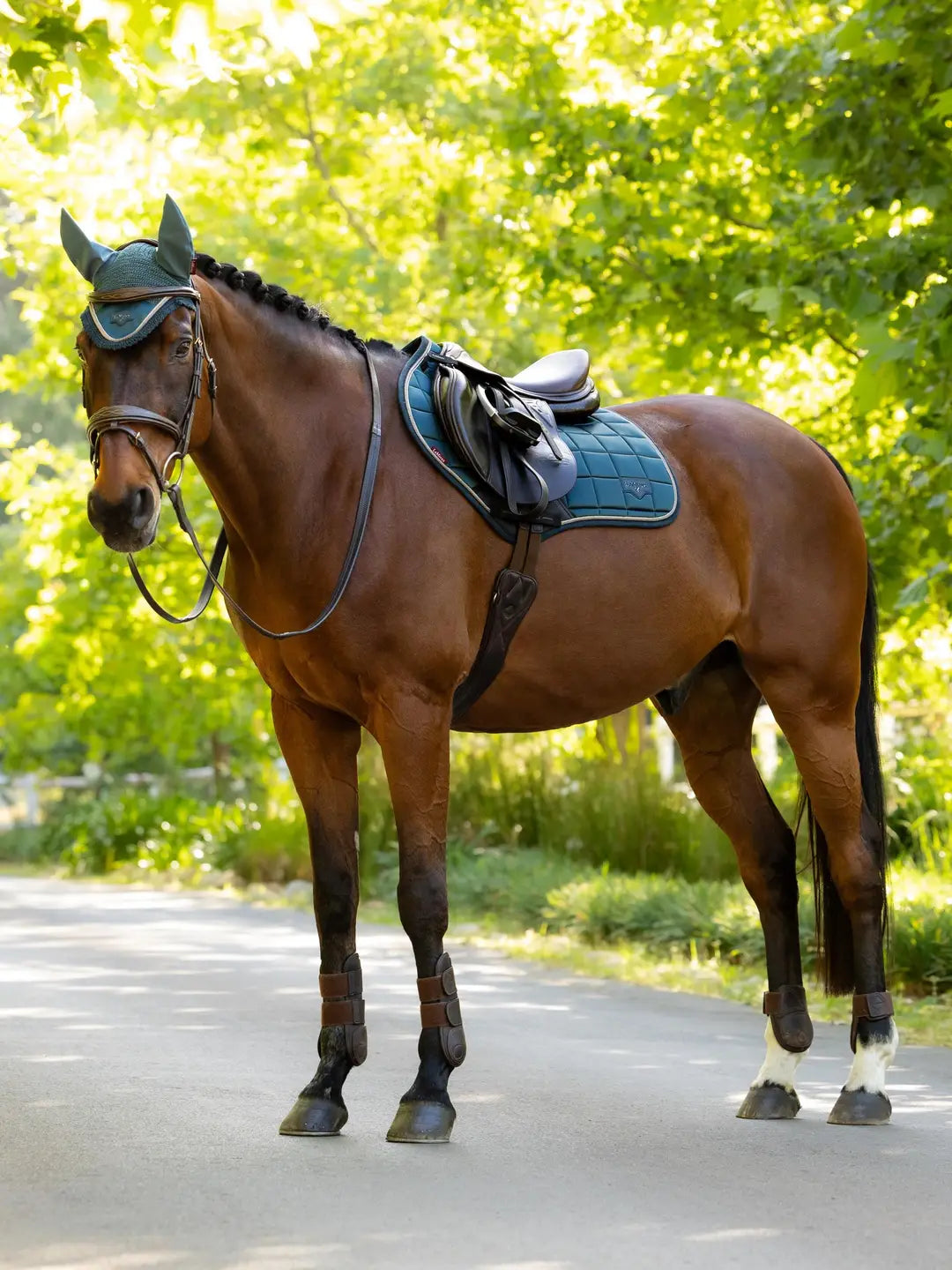 LeMieux Loire Classic Close Contact Square in Jungle: stijlvol springzadeldek met bamboevoering, hoge schoftvorm en zachte binding. Bestel bij Livin Horse Shop!