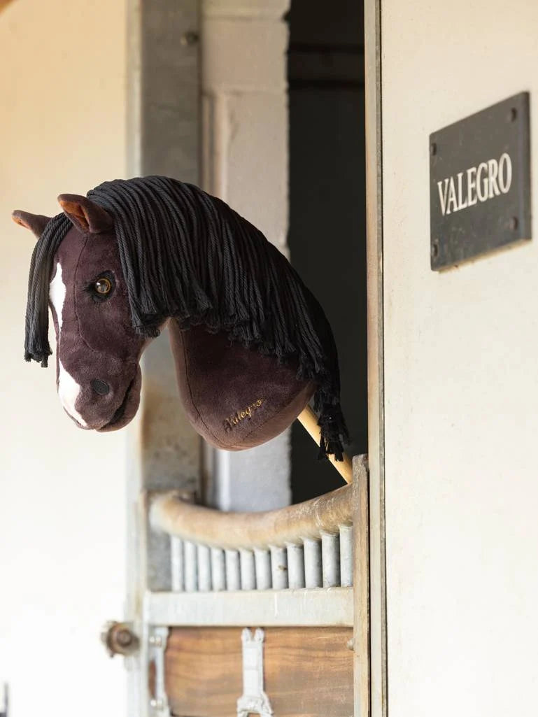 Lemieux Hobby Horse Valegro