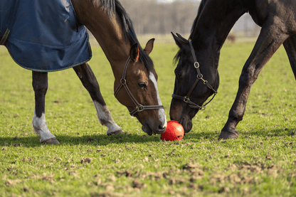 Maximus Fun Play Ball Rood *