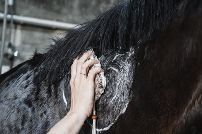 Horse shampoo bar Classic &amp; Hydrate