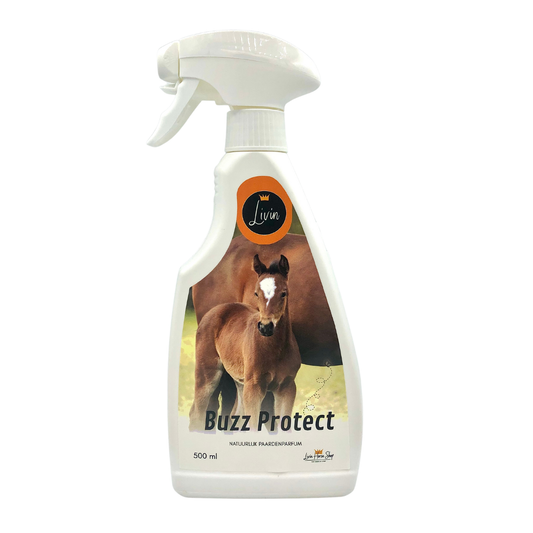 Livin Buzz Protect 500ml