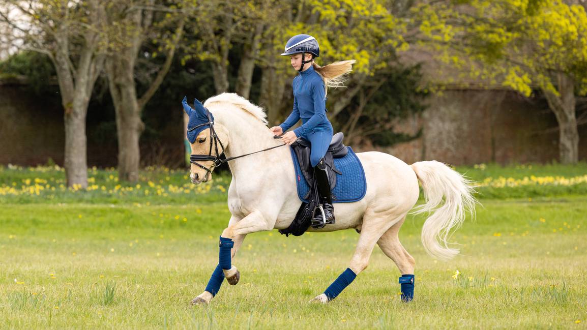 LeMieux Dressage Suede Square Atlantic