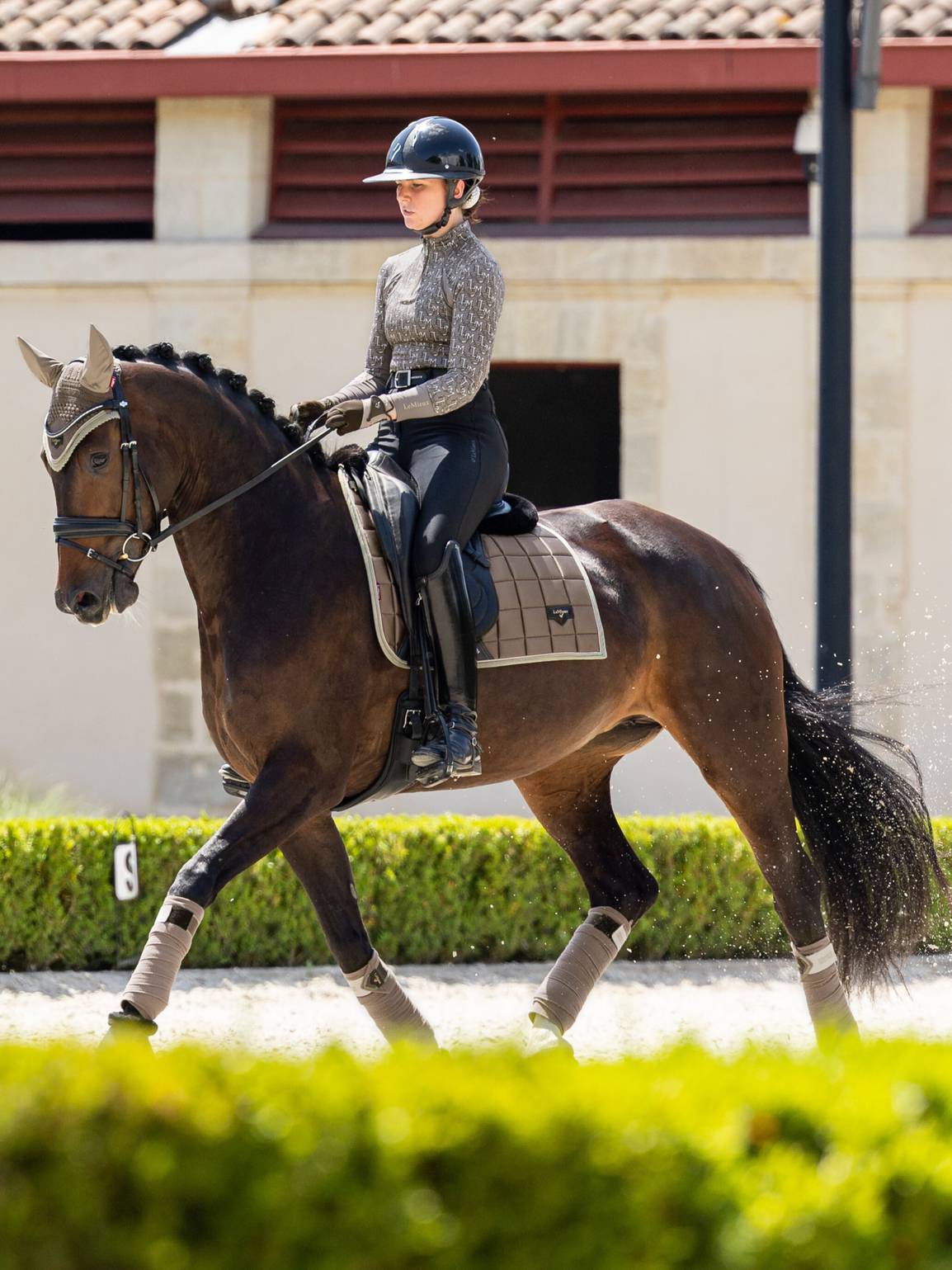 LeMieux Loire Classic Dressage Square Walnut - Livin Horsew Shop