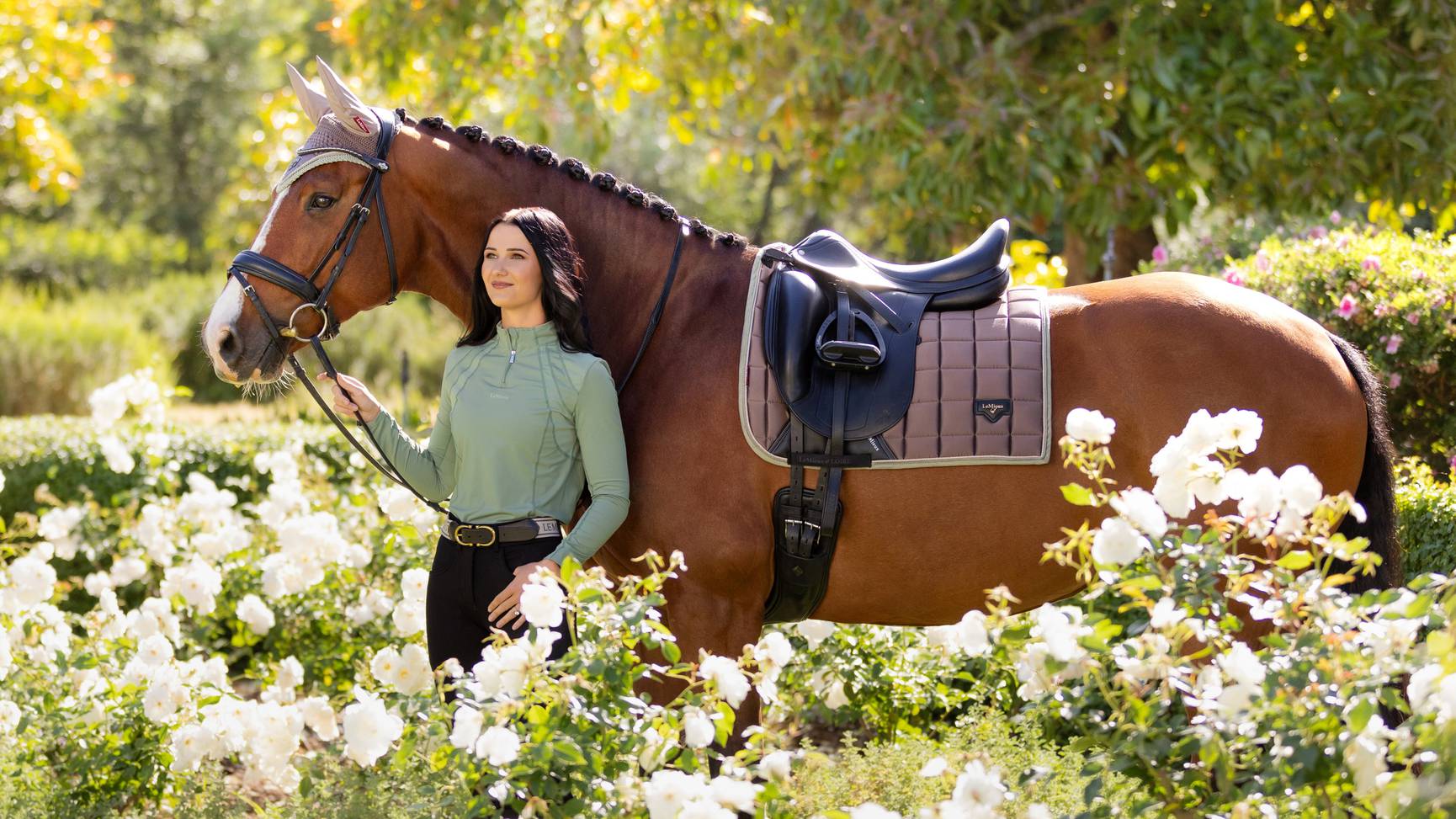 LeMieux Loire Classic Dressage Square Walnut - Livin Horse Shop