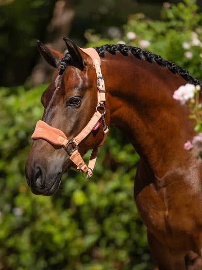 LeMieux Vogue Headcollar & Leadrope Apricot