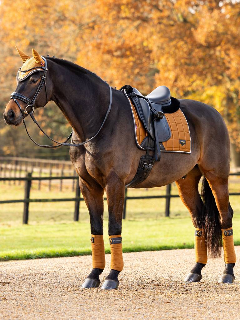 LeMieux Loire Classic Dressage Square Ginger.