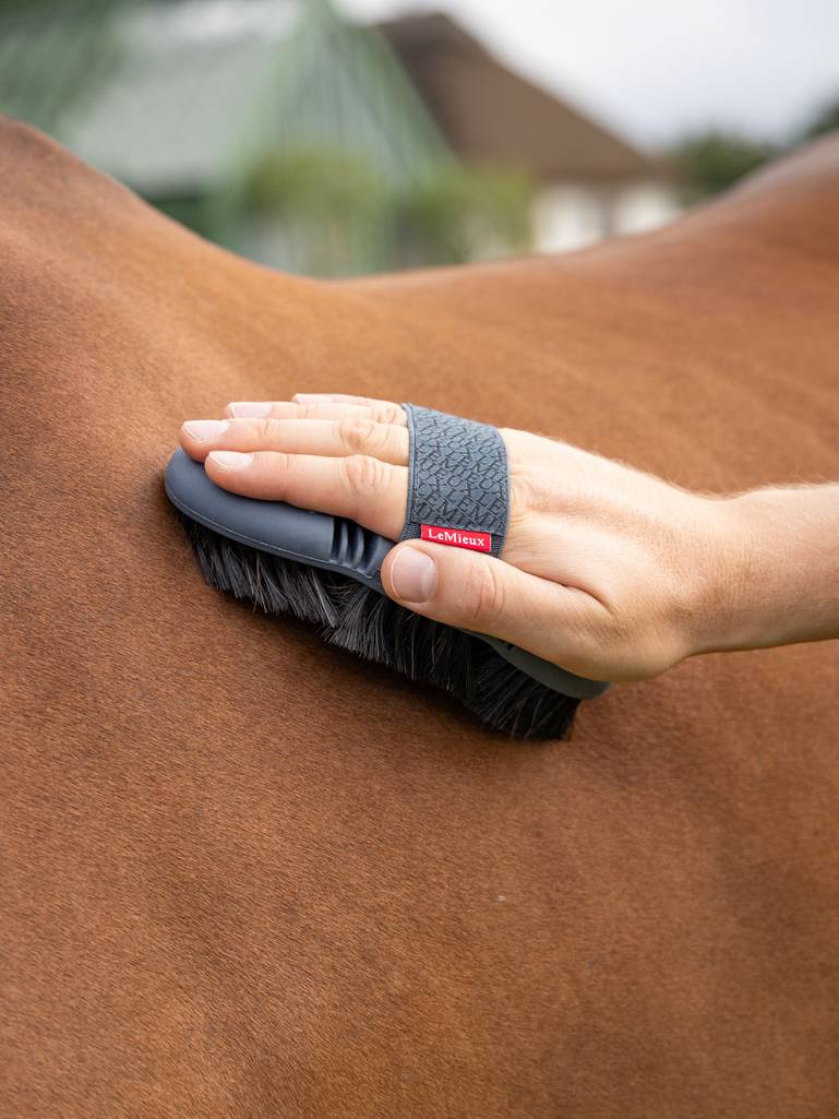 LeMieux Flexi paardenhaar borstel Petrol.