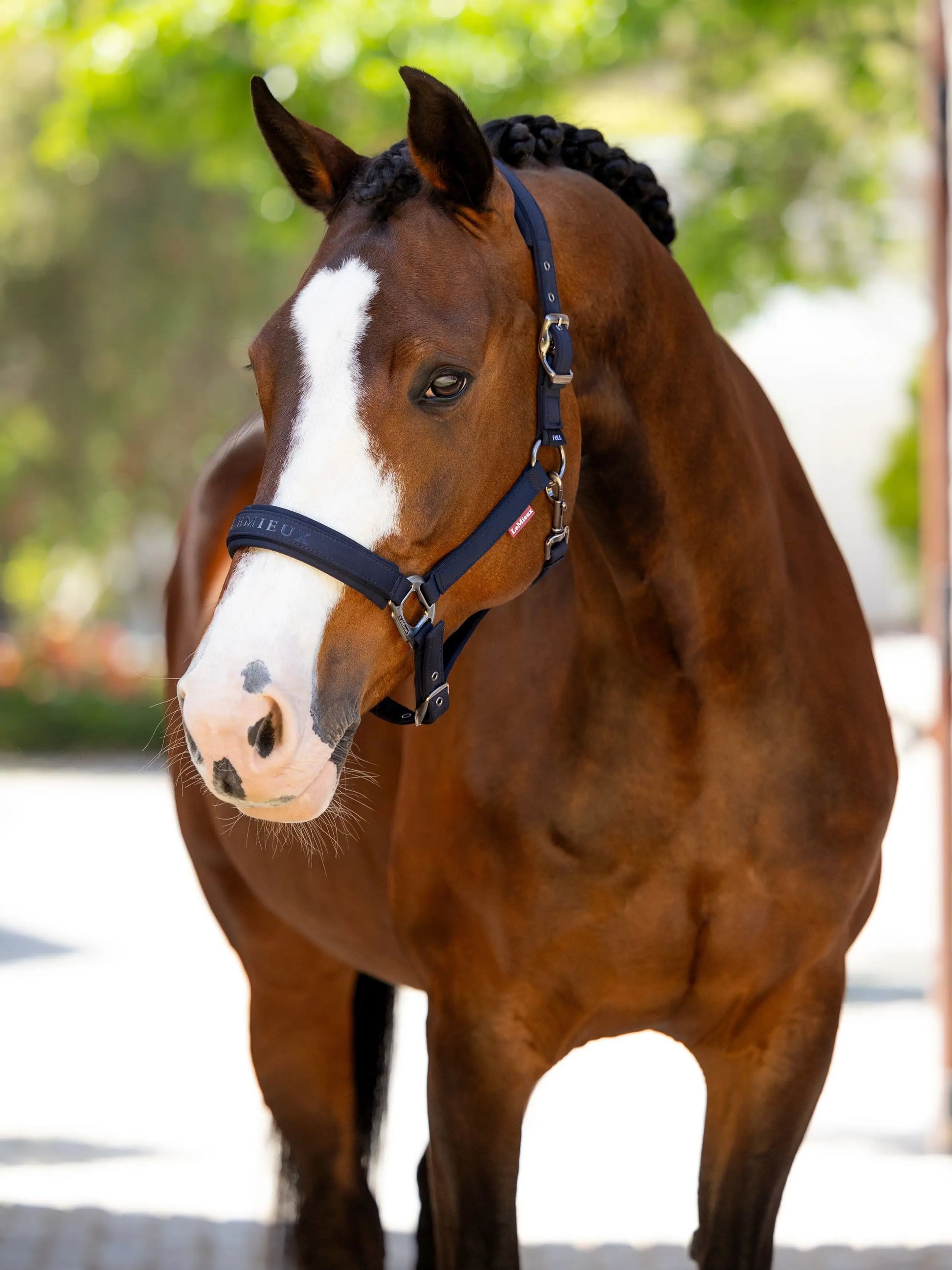 eMieux Essence Halster Navy. Dit LeMieux Halster Essence Navy is verkrijgbaar bij Livin Horse Shop.  Zijaanzicht LeMieux Essence Halster Navy - Halsters voor paard en pony
