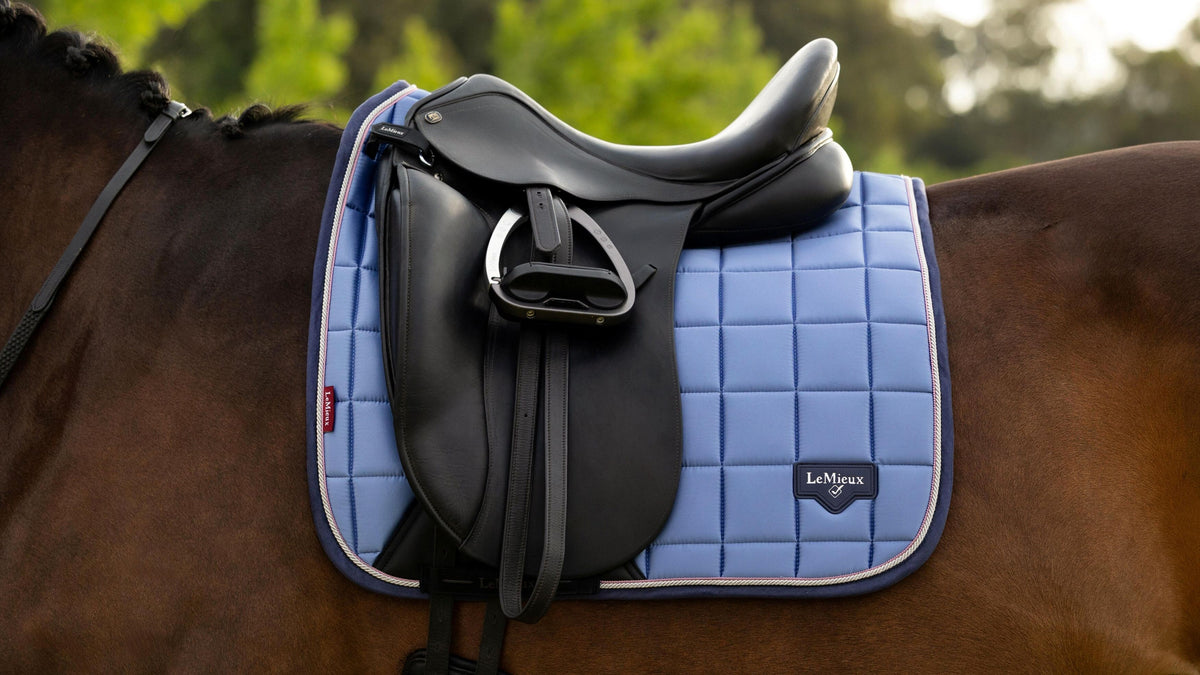 Horse Advent Calendar XL with Lemieux saddle pad PRE-ORDER