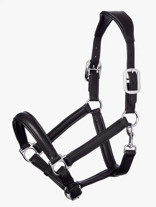 LeMieux Anatomic Headcollar Black _livin Horse Shop