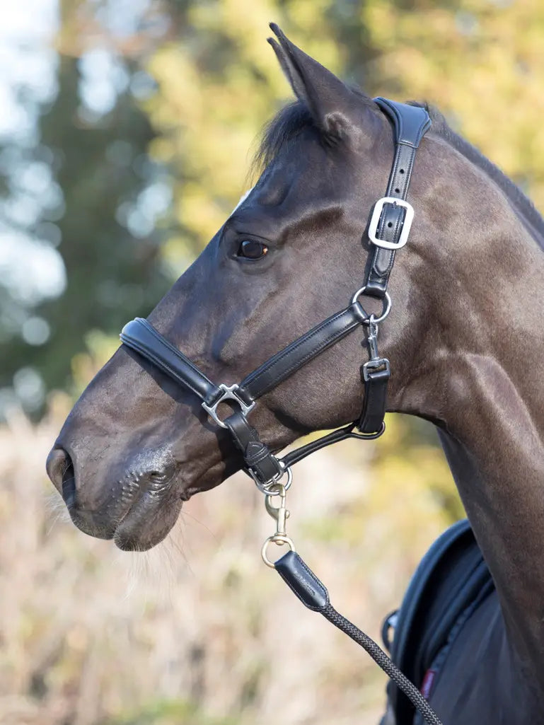 LeMieux Anatomic Headcollar Leer Black